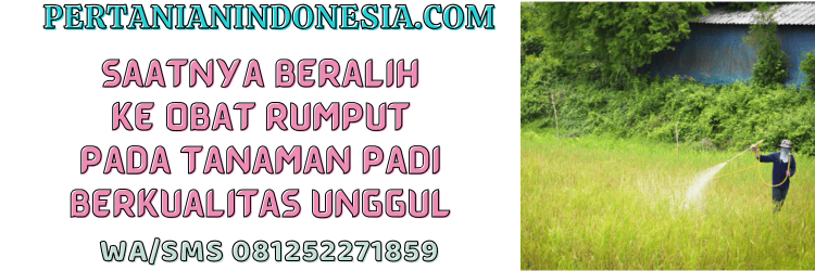 jual,murah,terjangkau,toko pertanian terdekat,pertanian indonesia